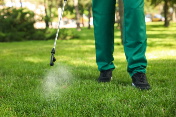 Best Pest Control Near Me in March Ar, CA