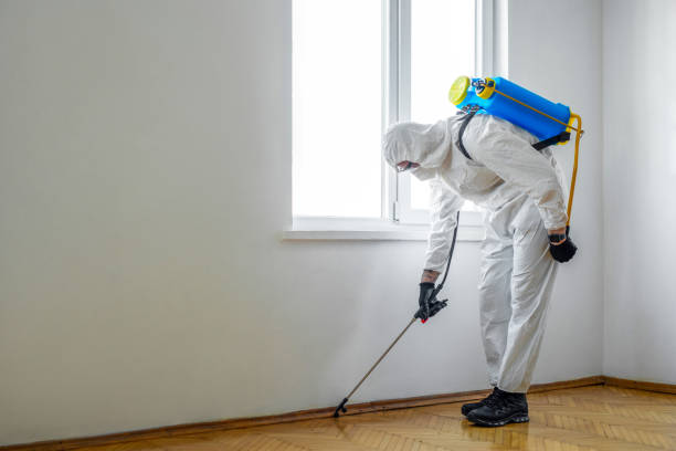 Best Wasp Removal Services  in March Ar, CA